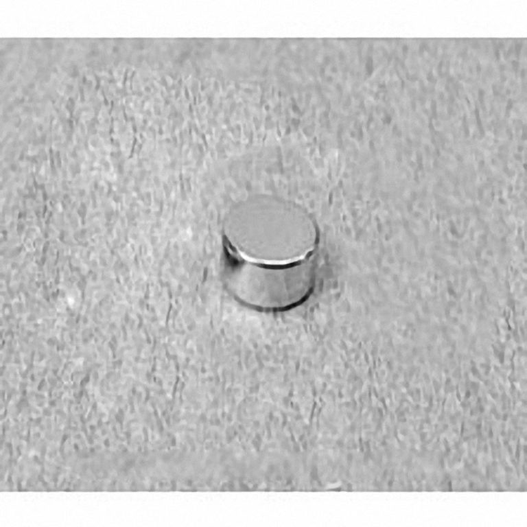 D42 Neodymium Disc Magnet, 1/4" dia. x 1/8" thick