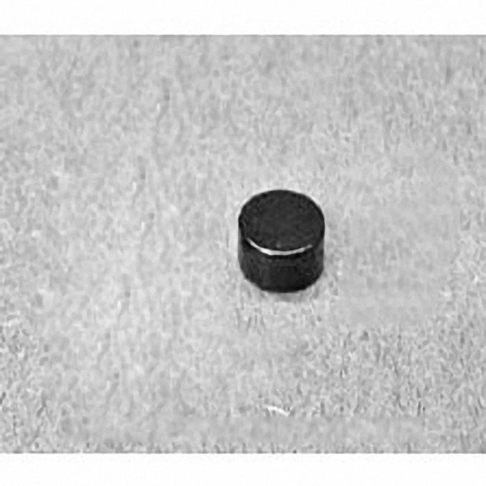 D42E Neodymium Disc Magnet, 1/4" dia. x 1/8" thick